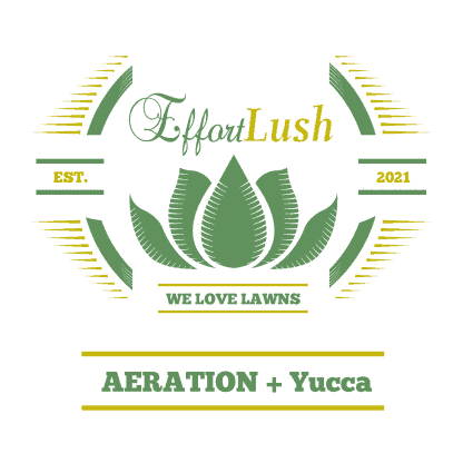 Aeration+Yucca