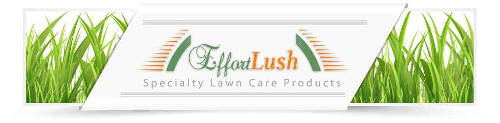 Effortlush-Banner