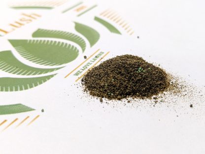 Green Balance - Image 4