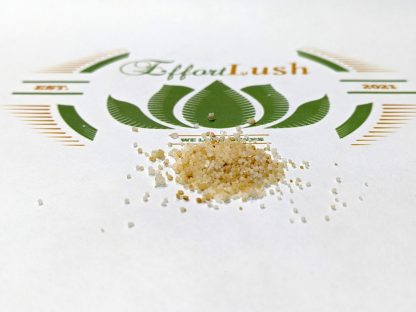 Effortlush-Micro-Greens