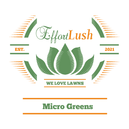 Micro-Greens