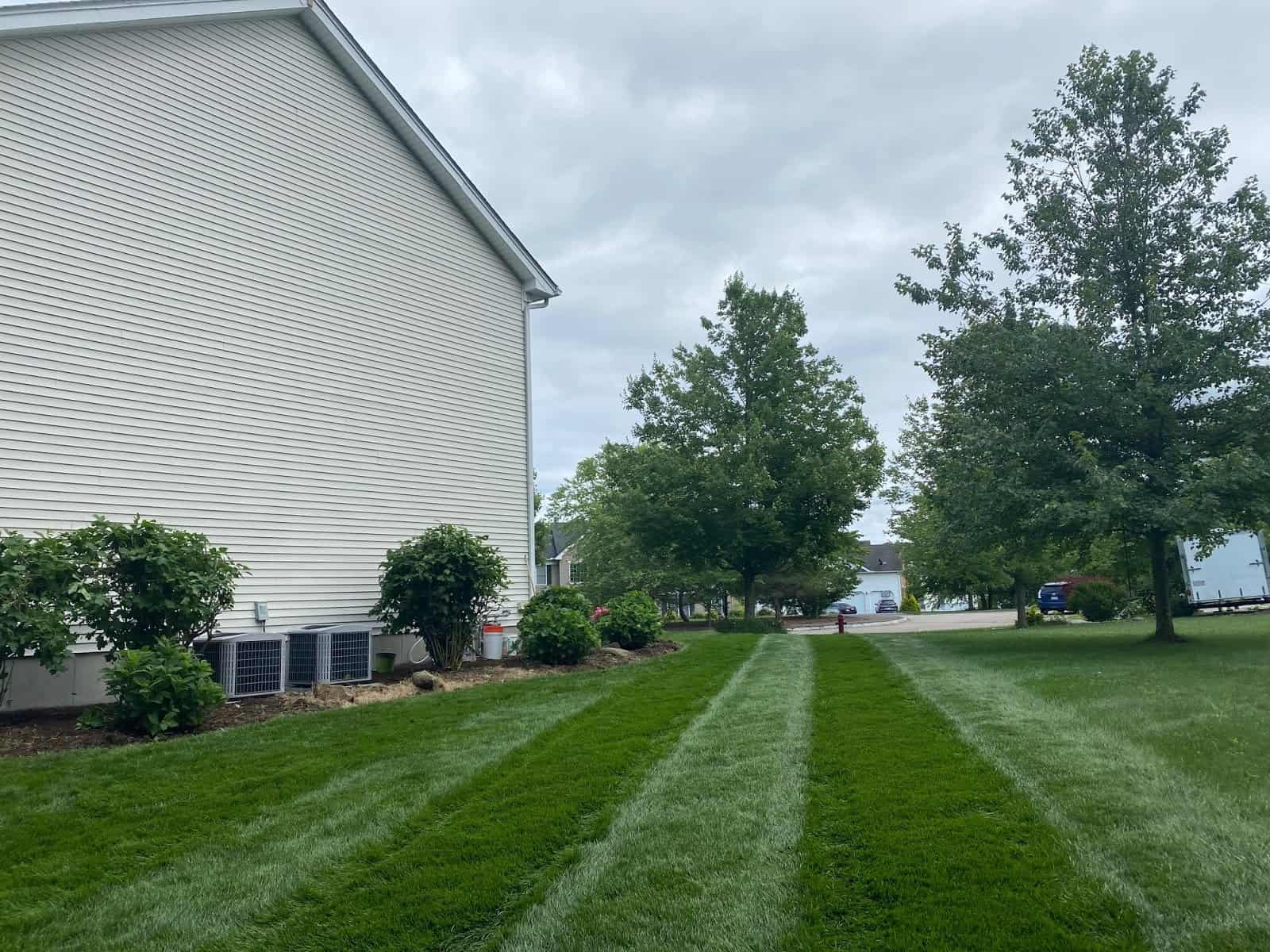 Stress Free Lawn in Summer 2